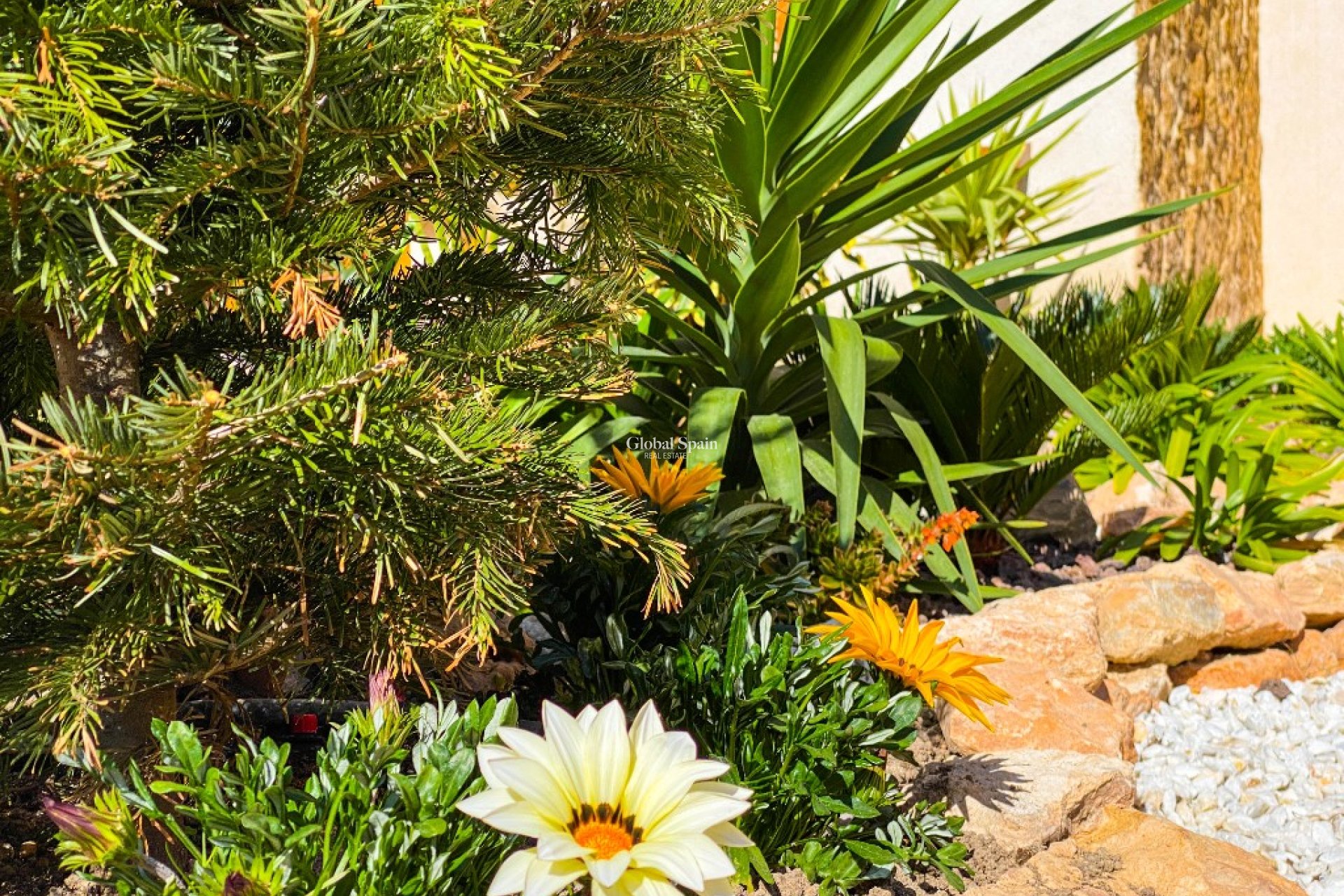 Alquiler a corto plazo - Apartamento -
PUNTA PRIMA - La Recoleta