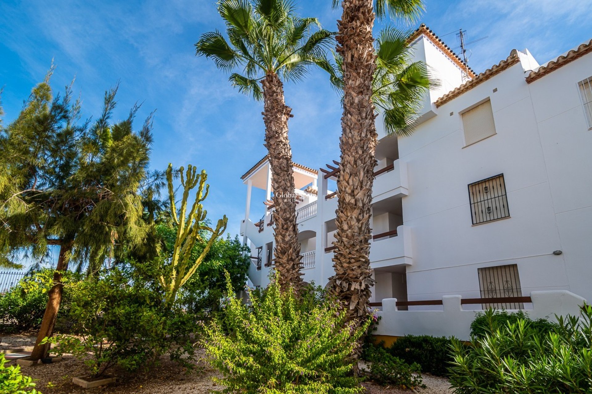 Alquiler a largo plazo - Apartamento -
ORIHUELA - VILLAMARTÍN