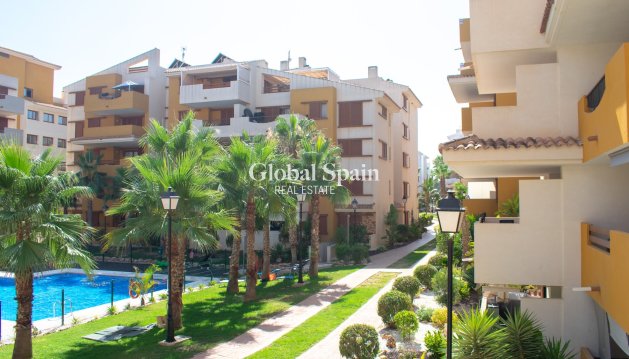 Apartament - Mieszkanie - Odsprzedaż - ORIHUELA COSTA -
                Punta Prima