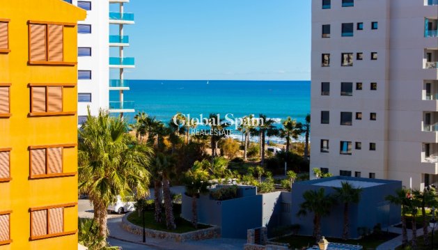 Apartamento - Alquiler a corto plazo - PUNTA PRIMA -
                La Recoleta