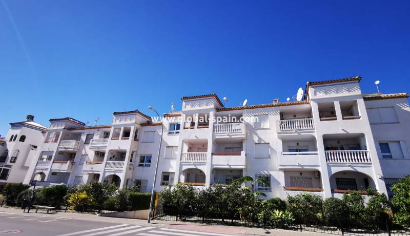 Apartamento - Alquiler a largo plazo - Orihuela - Villamartin
