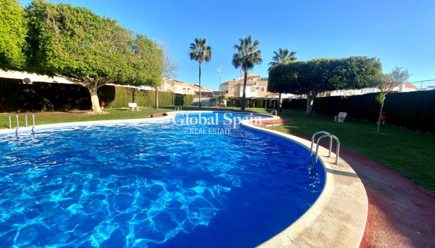 Apartamento - Apartamento en Planta Alta - Venta - TORREVIEJA -
                El limonar