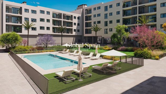 APARTAMENTO - Nueva construcción  - ALICANTE -
                San Agustín