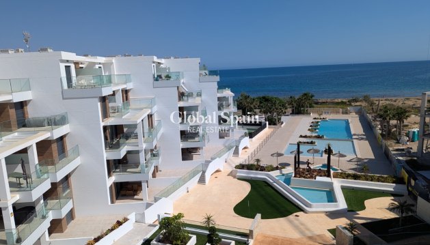 Apartamento - Nueva construcción  - DENIA -
                DENIA