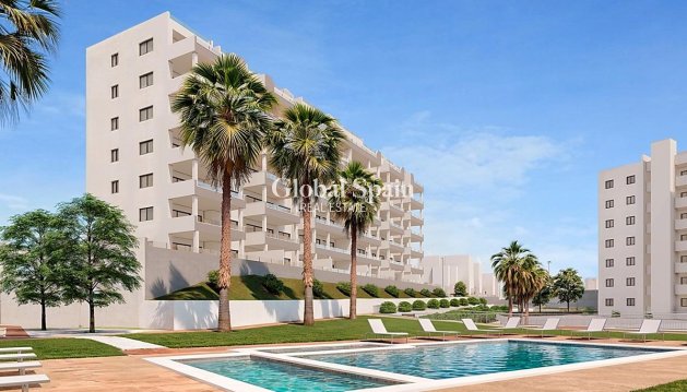 APARTAMENTO - Nueva construcción  - SAN MIGUEL DE SALINAS -
                Pueblo