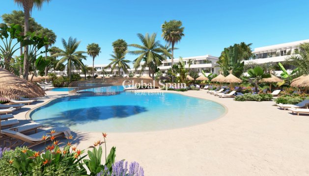 APARTAMENTO - Nueva construcción  - SAN ROQUE -
                Alcaidesa