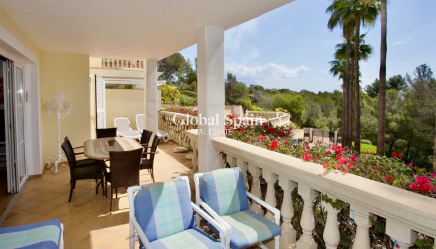 Apartamento - Planta Baja - Venta - Portals Nous -
                Calvià