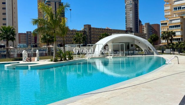 APARTAMENTO - Venta - BENIDORM -
                Zona de Poniente