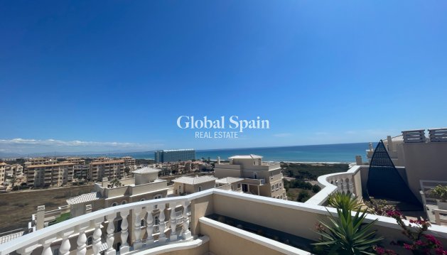 APARTAMENTO - Venta - GUARDAMAR DEL SEGURA -
                Costa Blanca