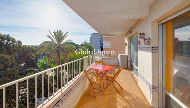 APARTAMENTO - Venta - GUARDAMAR DEL SEGURA -
                GUARDAMAR DEL SEGURA