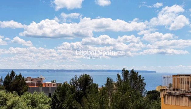 APARTAMENTO - Venta - PALMA -
                Sant Agustí