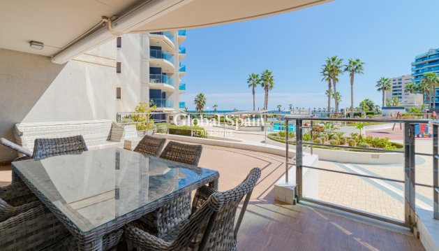 Apartamento - Venta - PUNTA PRIMA -
                PUNTA PRIMA