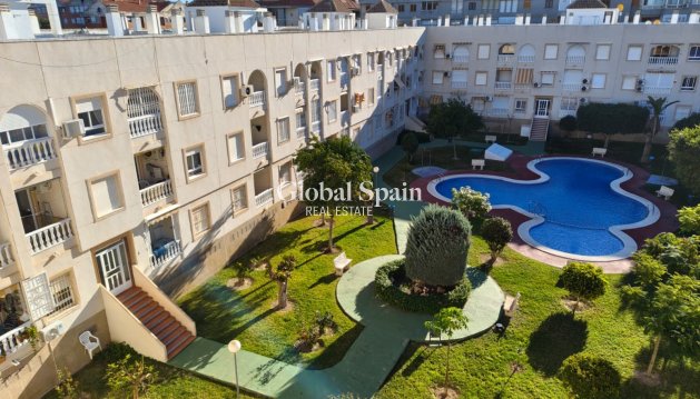 APARTAMENTO - Venta - TORREVIEJA -
                Acequion