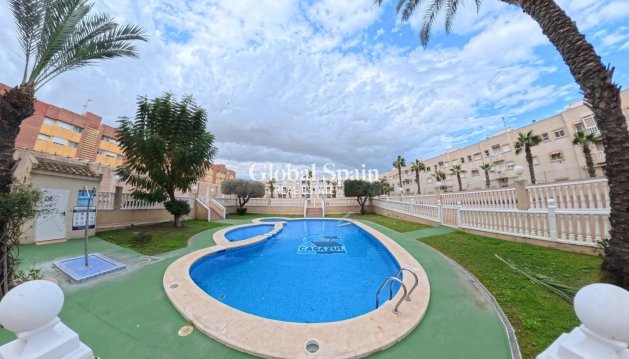 APARTAMENTO - Venta - TORREVIEJA -
                Center