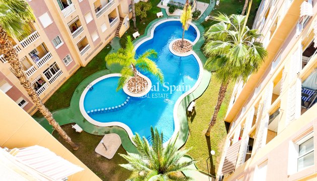 APARTAMENTO - Venta - TORREVIEJA -
                Costa Blanca