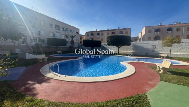 APARTAMENTO - Venta - TORREVIEJA -
                Costa Blanca