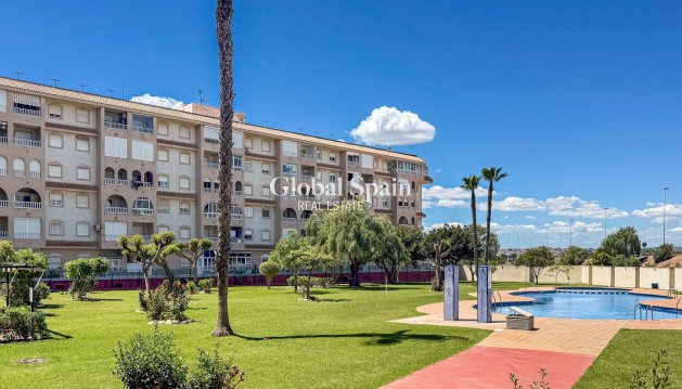 APARTAMENTO - Venta - TORREVIEJA -
                Costa Blanca
