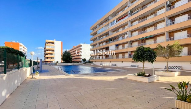 APARTAMENTO - Venta - TORREVIEJA -
                Costa Blanca