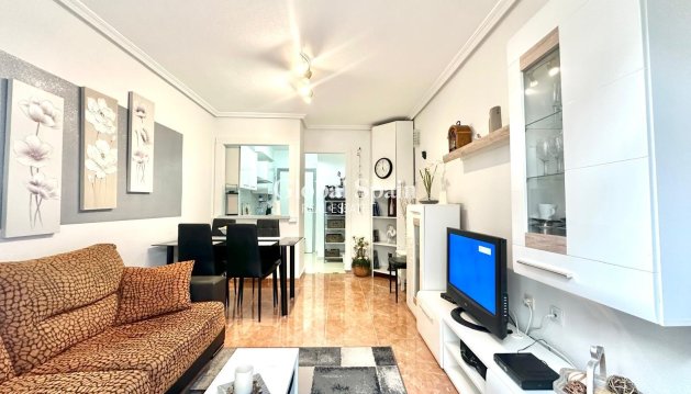 APARTAMENTO - Venta - TORREVIEJA -
                Estacion de autobuses