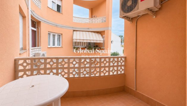 APARTAMENTO - Venta - TORREVIEJA -
                Estacion de autobuses