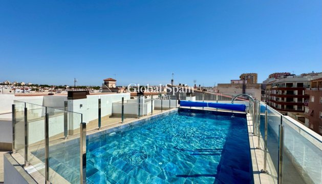 APARTAMENTO - Venta - TORREVIEJA -
                Habaneras