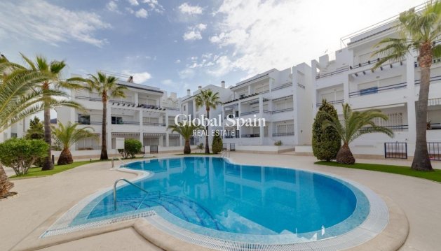 APARTAMENTO - Venta - TORREVIEJA -
                La Veleta