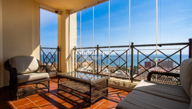 APARTAMENTO - Venta - TORREVIEJA -
                Los Frutales