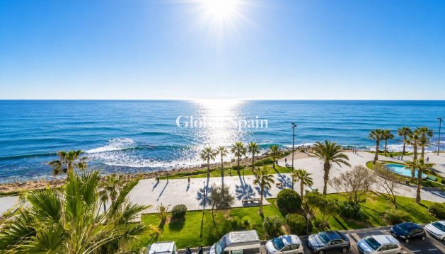 APARTAMENTO - Venta - TORREVIEJA -
                Playa del Cura