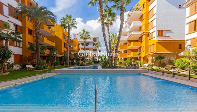 APARTAMENTO - Venta - TORREVIEJA -
                Punta Prima