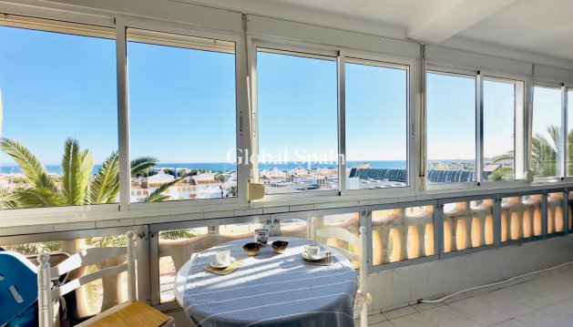 APARTAMENTO - Venta - TORREVIEJA -
                Torreblanca