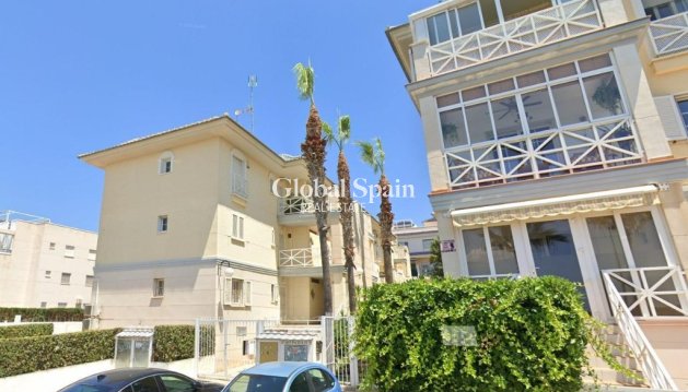 Apartamento - Venta - TORREVIEJA -
                Torrevieja