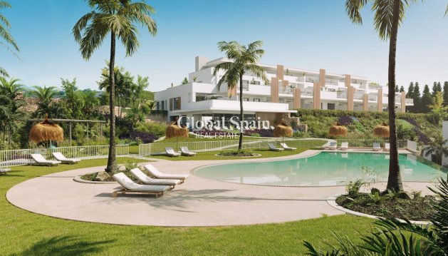 APARTMENT - New Build - CASARES -
                Doña Julia