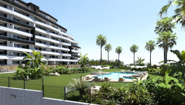 Apartment - New Build -
                SAN MIGUEL DE SALINAS - PS-98471