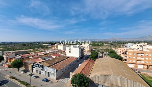 Apartment - Resale - ALBATERA -
                ALBATERA