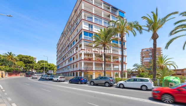 Apartment - Resale - ALICANTE -
                Alicante