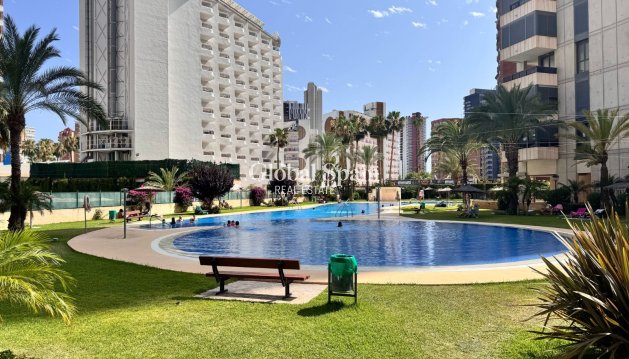 Apartment - Resale - Benidorm -
                Levante