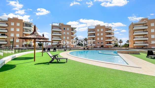 APARTMENT - Resale - GUARDAMAR DEL SEGURA -
                EL RASO