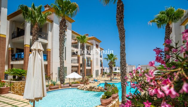 APARTMENT - Resale -
                GUARDAMAR DEL SEGURA - I2451