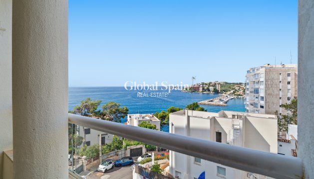APARTMENT - Resale - PALMA -
                optional location detail