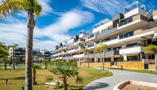 APARTMENT - Resale - PLAYA FLAMENCA -
                PLAYA FLAMENCA