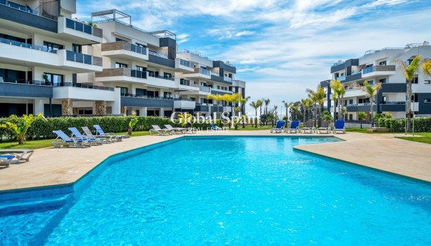 Apartment - Resale - PLAYA FLAMENCA -
                PLAYA FLAMENCA