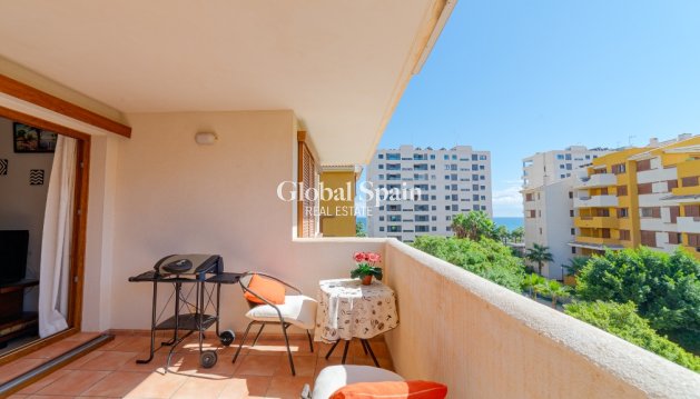 Apartment - Resale - PUNTA PRIMA -
                PUNTA PRIMA