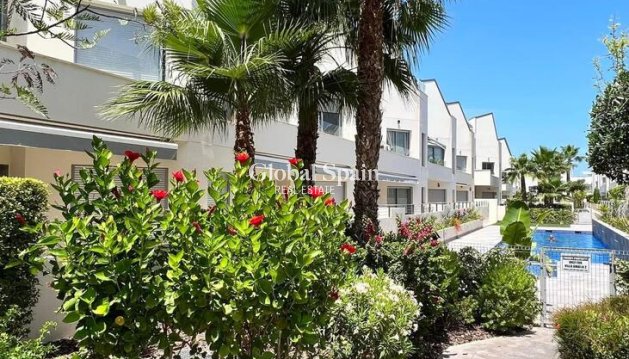 APARTMENT - Resale - TORREVIEJA -
                Costa Blanca