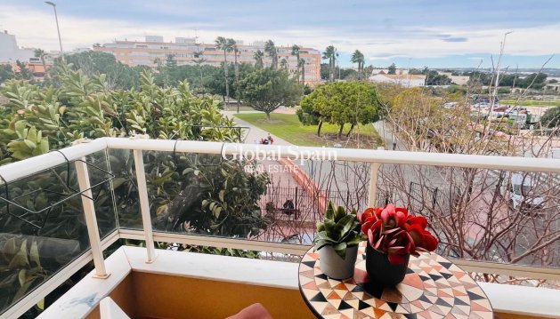 APARTMENT - Resale - TORREVIEJA -
                Costa Blanca