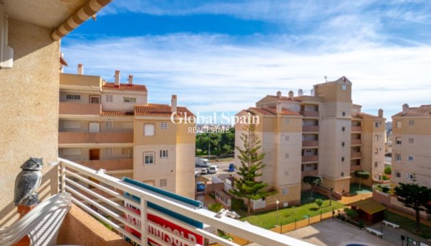 APARTMENT - Resale - TORREVIEJA -
                Costa Blanca