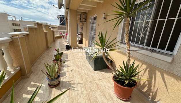 APARTMENT - Resale - TORREVIEJA -
                Costa Blanca