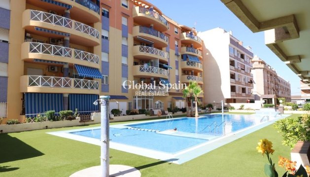 APARTMENT - Resale - TORREVIEJA -
                Costa Blanca