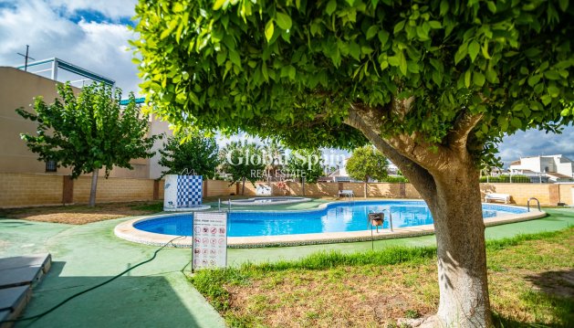 APARTMENT - Resale - TORREVIEJA -
                El Chaparral