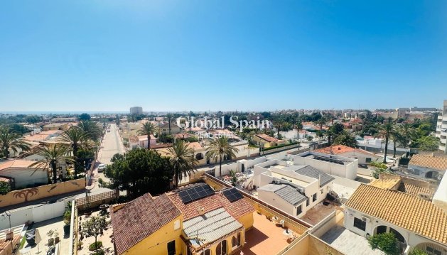 APARTMENT - Resale - TORREVIEJA -
                Nueva Torrevieja