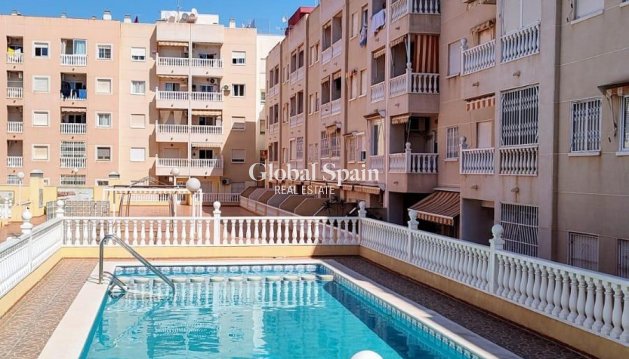 APARTMENT - Resale - TORREVIEJA -
                Playa de los Locos